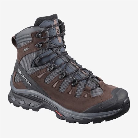 Salomon QUEST 4D 3 GTX W Sjokolade Tursko Dame [NO 6-TJV]